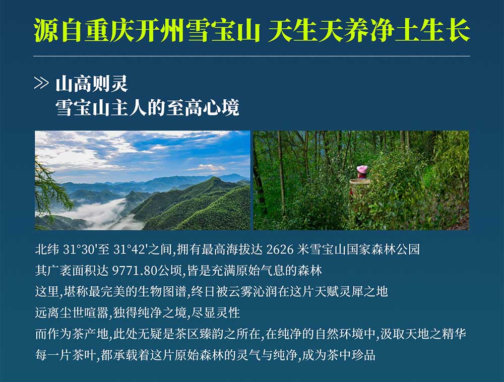 未标题-2_01.jpg