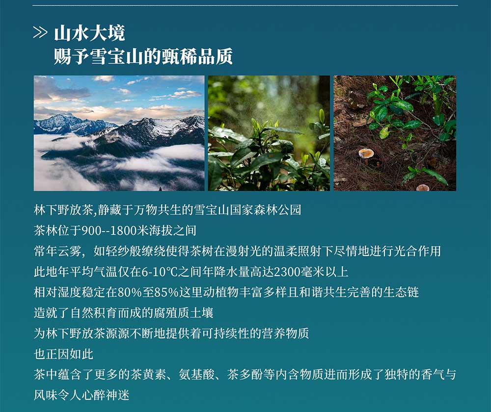 未标题-2_02.jpg