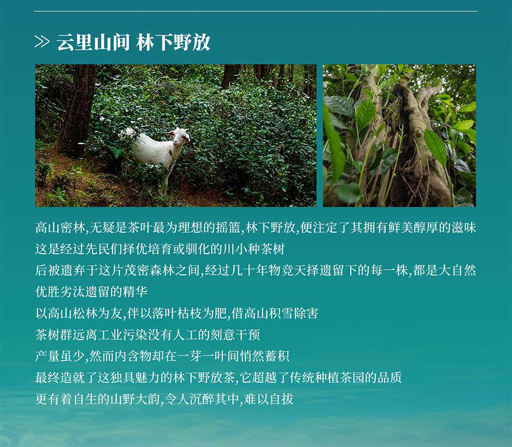 未标题-2_03.jpg
