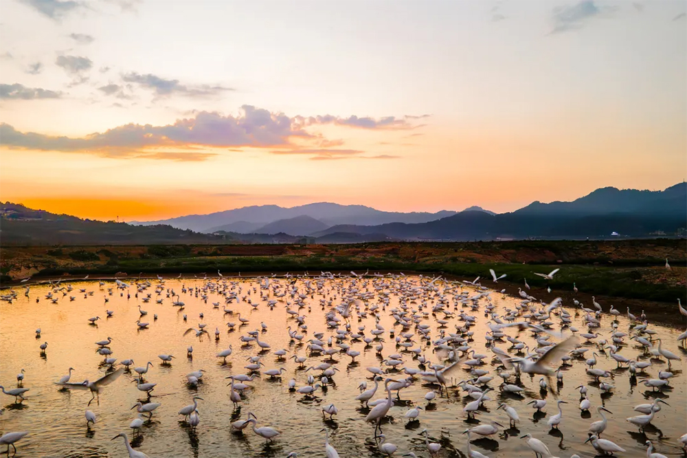 1754625585.jpg 3.jpg