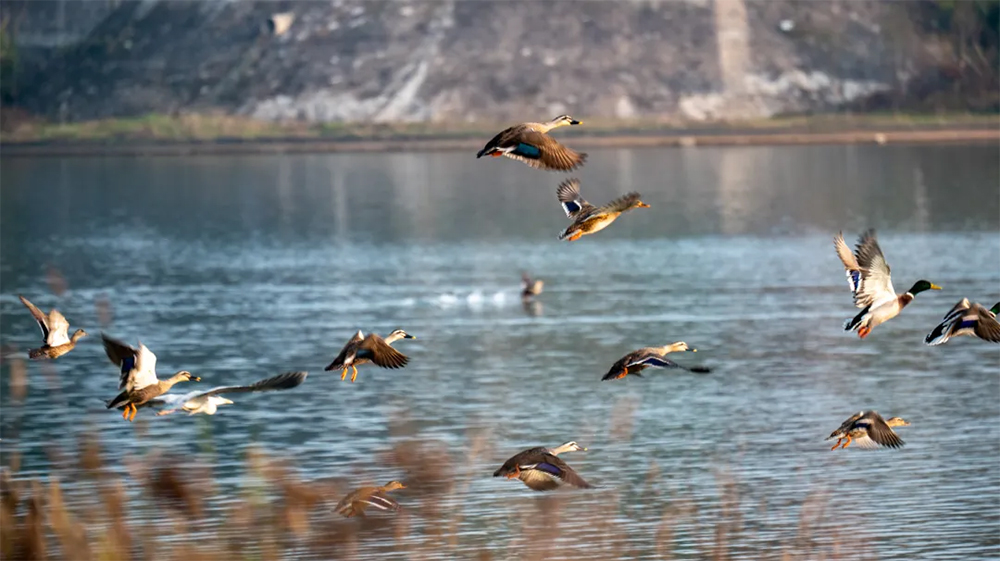 1754625727.jpg 13.jpg